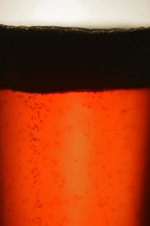 Glass of Beerの写真素材