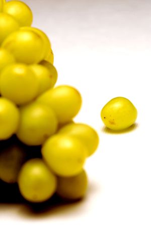 Grapesの写真素材