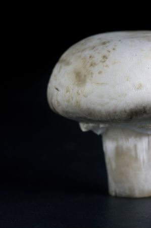 Fresh Button Mushrooms isolated against a black backgroundの写真素材