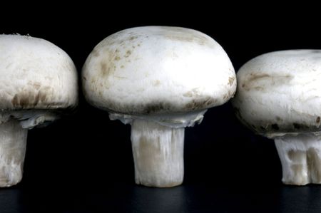 Fresh Button Mushrooms isolated against a black backgroundの写真素材