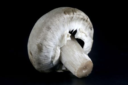 Fresh Button Mushrooms isolated against a black backgroundの写真素材