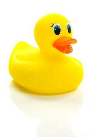 A floating toy duck isolated against a white backgroundの写真素材