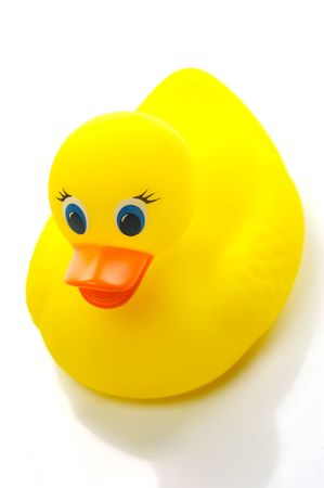 A floating toy duck isolated against a white backgroundの写真素材