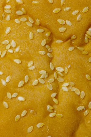 Fresh hamburger buns isolated against a white backgroundの写真素材