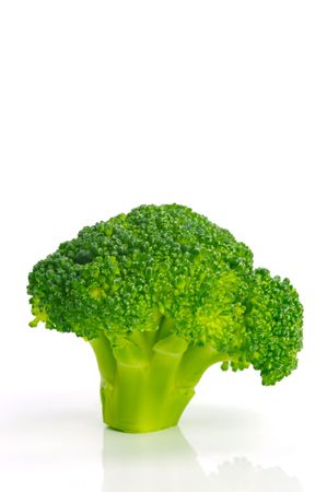 A head broccoli isolated against a white backgroundの写真素材