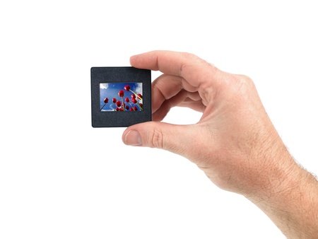 Photographic slides isolated against a white backgroundの写真素材