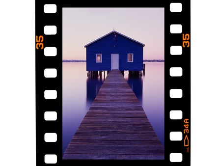 Photographic negatives isolated against a white backgroundの写真素材