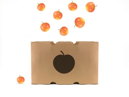 An apple isolated against a white backgroundの写真素材