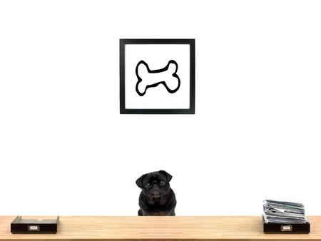 In and out office trays in an office situationの写真素材