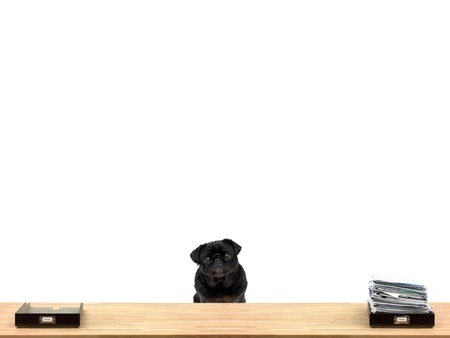 In and out office trays in an office situationの写真素材