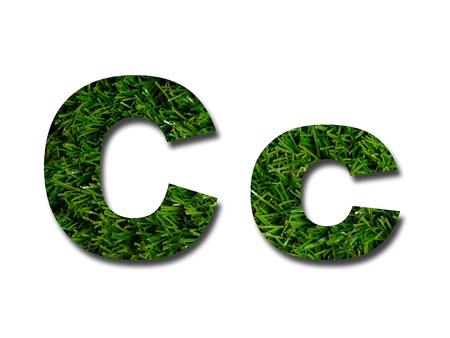 Cutout letters of the alphabet made from grassの写真素材