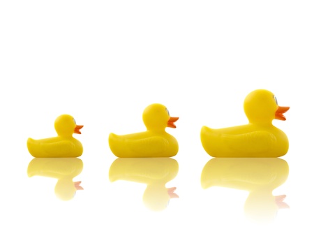 Rubbers ducks isolated on a white backgroundの写真素材