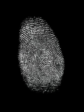 A finger print isolated against a white backgroundの写真素材