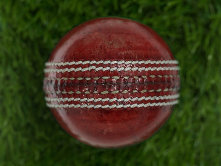 Cricket gear isolated against a white backgroundの写真素材
