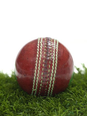 Cricket gear isolated against a white backgroundの写真素材
