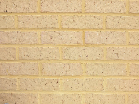 A close shot of a brick wall