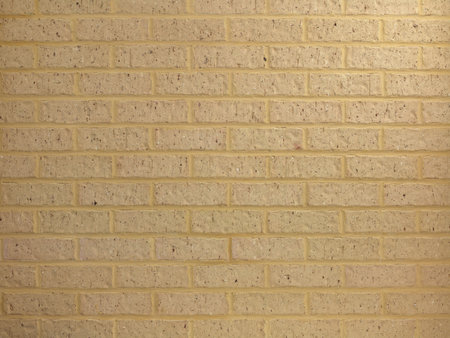 A close shot of a brick wall