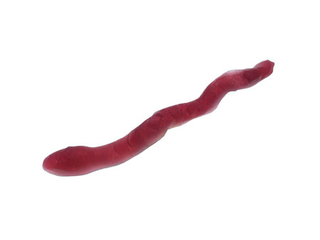 Candy snakes isolated against a white background