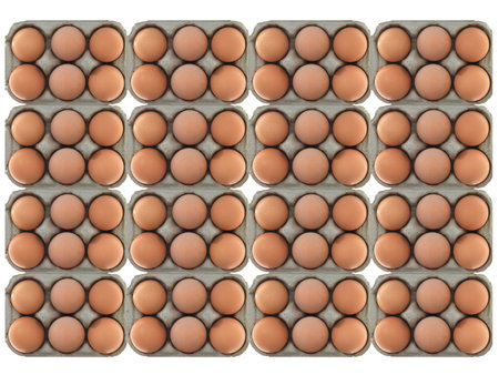 Fresh eggs isolated against a white background