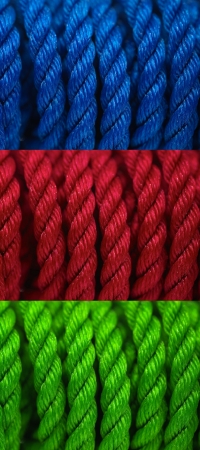 Pieces of rope isolated against a white backgroundの写真素材