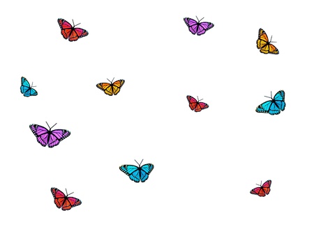 Colored butterflies isolated against a white backgroundの写真素材