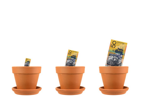 A conceptual financial growth image against a white background