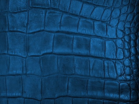 A close up shot of leather hideの写真素材