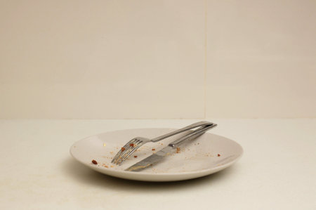 A dinner plate isolated on a kitch benchの写真素材