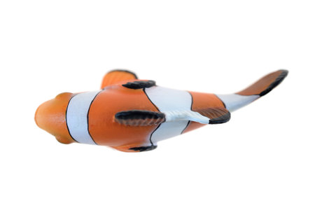 A close up shot of a Clown Fishの写真素材
