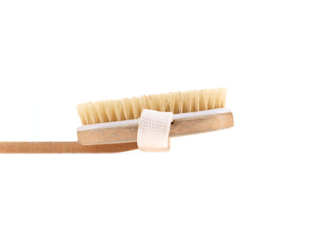 A close up shot of a shower brush