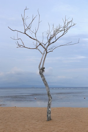 A beautiful and luxurious hotel resort in Indonesiaの写真素材