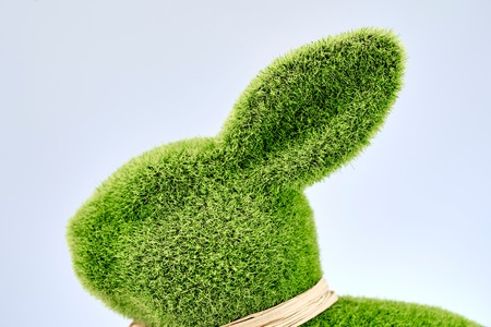 A studio photo of an conceptual Easter Rabbitの写真素材