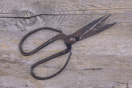 A studio photo of a pair of vintage scissors