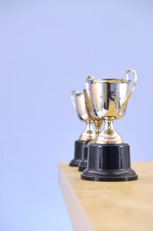 A studio photo of a vintage trophy