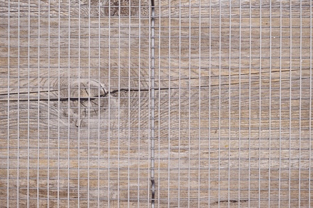 A studio photo of a cooling trayの写真素材