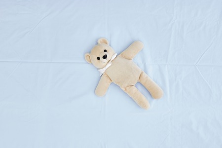 A studio photo of a toy bearの写真素材