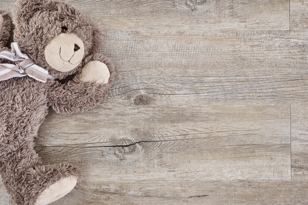 A studio photo of a toy bearの写真素材