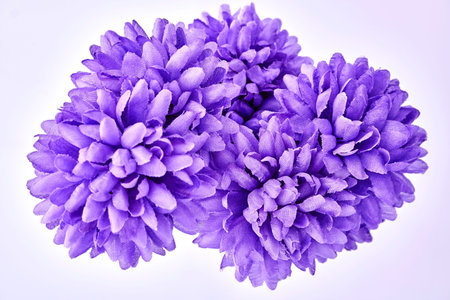 A studio photo of plastic display flowersの写真素材