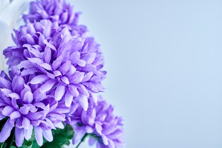 A studio photo of plastic display flowersの写真素材