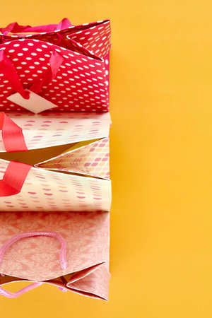 A studio photo of shopping bags