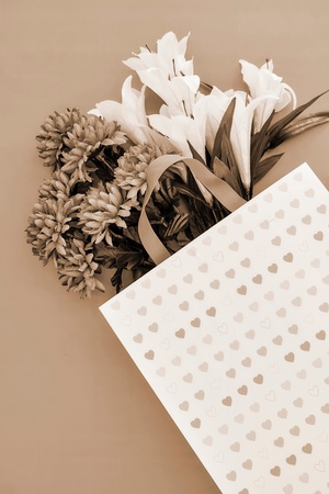 A studio photo of a shopping bagの写真素材