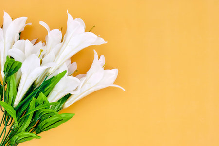 A studio photo of a bouquet of flowersの写真素材