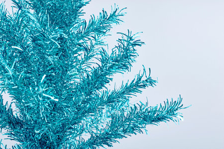 A studio photo of a christmas tree branch