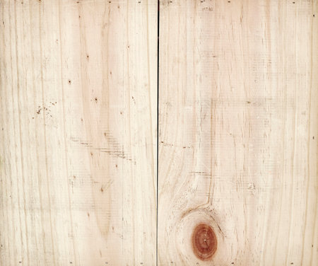 A studio photo of an empty pine box