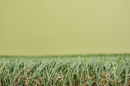 A studio photo of artificial grass with a blue backgroundの写真素材