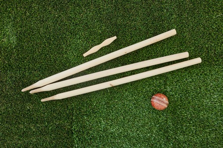 A studio photo of cricket gear on grassの写真素材