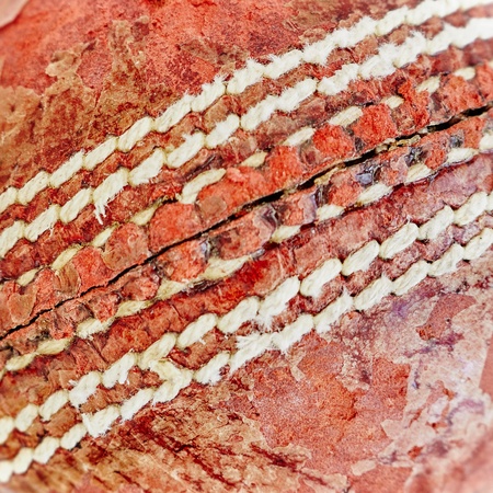 A studio photo of cricket gear on grassの写真素材