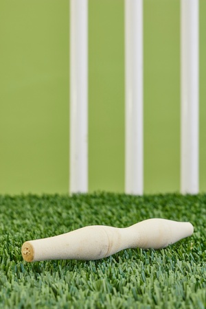 A studio photo of cricket gear on grassの写真素材