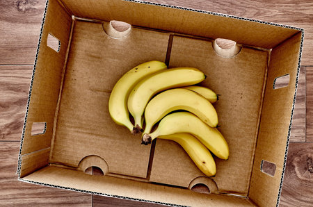 A studio photo of a fruit and vegetable box