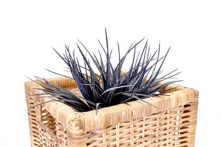 A studio photo of a cane basket